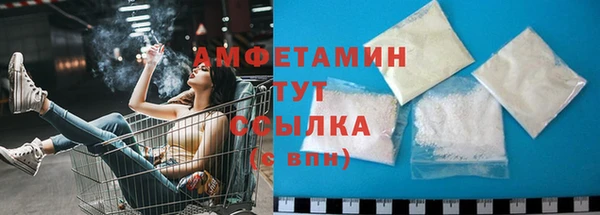 шишки Покачи