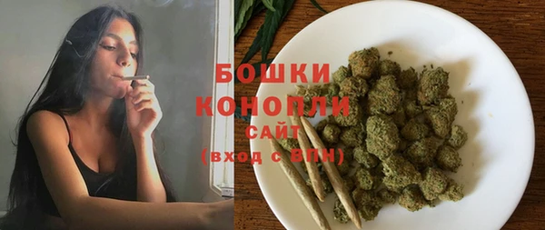 шишки Покачи