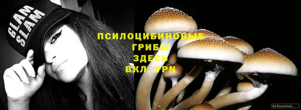 шишки Белокуриха