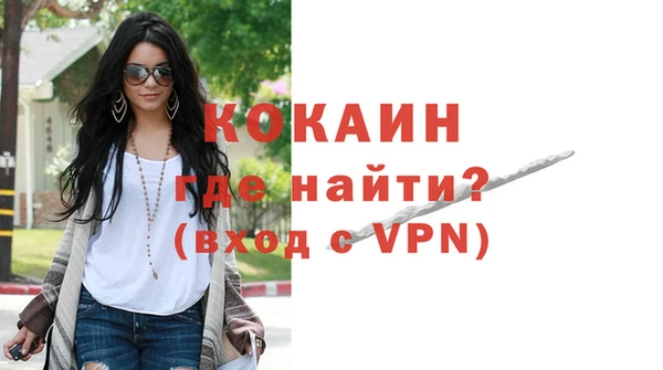 шишки Белокуриха