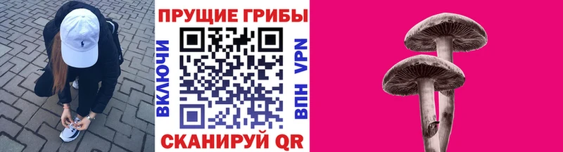 Псилоцибиновые грибы мицелий  MEGA рабочий сайт  Городище 